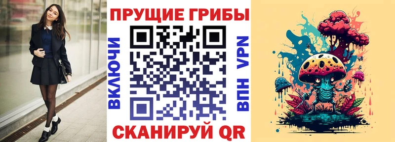Купить где  Куйбышев  Галлюциногенные грибы Psilocybine cubensis 